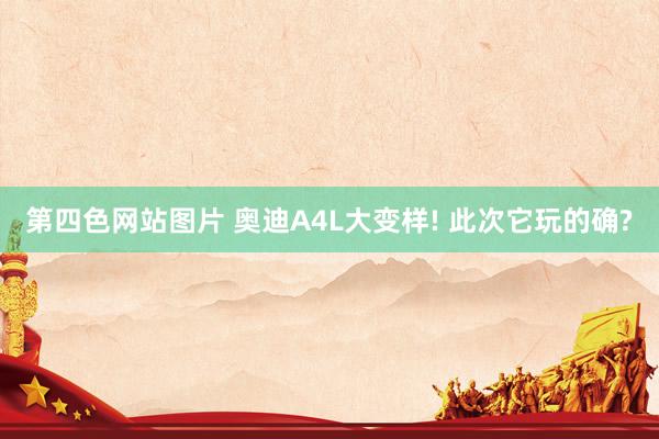 第四色网站图片 奥迪A4L大变样! 此次它玩的确?