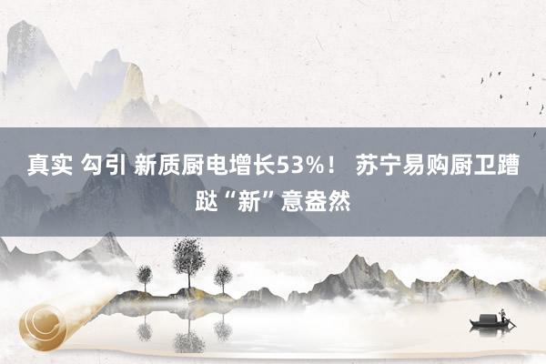 真实 勾引 新质厨电增长53%！ 苏宁易购厨卫蹧跶“新”意盎然