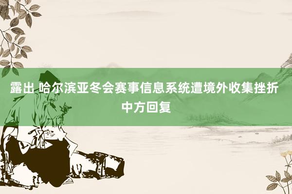露出 哈尔滨亚冬会赛事信息系统遭境外收集挫折 中方回复