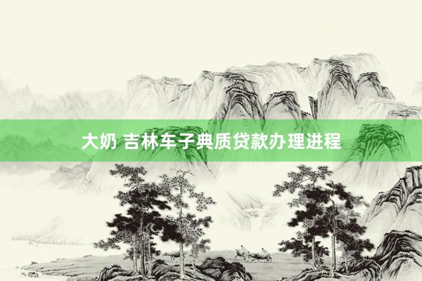 大奶 吉林车子典质贷款办理进程