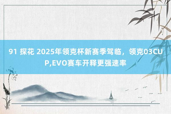 91 探花 2025年领克杯新赛季驾临，领克03CUP，EVO赛车开释更强速率