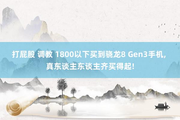 打屁股 调教 1800以下买到骁龙8 Gen3手机， 真东谈主东谈主齐买得起!