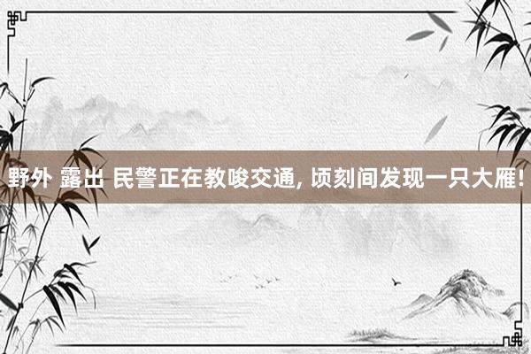 野外 露出 民警正在教唆交通， 顷刻间发现一只大雁!