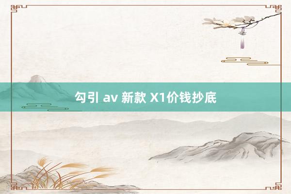 勾引 av 新款 X1价钱抄底