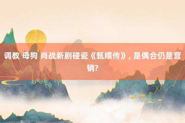 调教 母狗 肖战新剧碰瓷《甄嬛传》， 是偶合仍是营销?