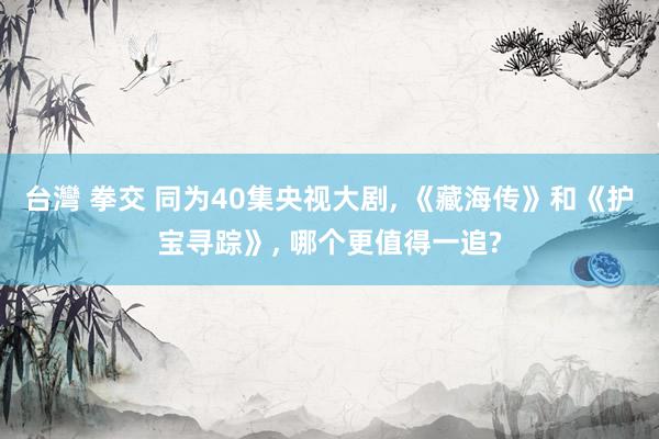 台灣 拳交 同为40集央视大剧， 《藏海传》和《护宝寻踪》， 哪个更值得一追?