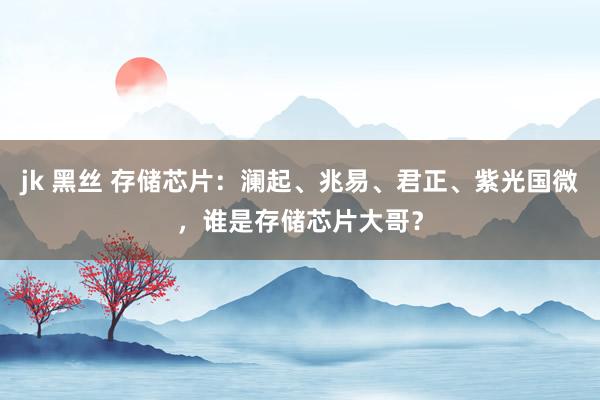jk 黑丝 存储芯片：澜起、兆易、君正、紫光国微，谁是存储芯片大哥？