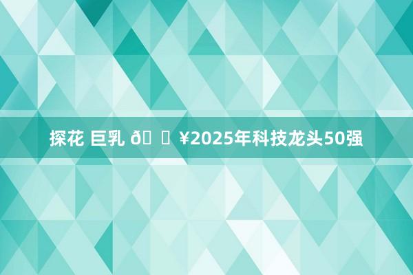 探花 巨乳 🔥2025年科技龙头50强