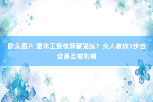 欧美图片 退休工资核算藏猫腻？众人教你5步自查是否被剥削