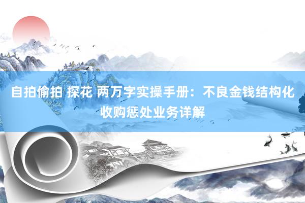 自拍偷拍 探花 两万字实操手册：不良金钱结构化收购惩处业务详解