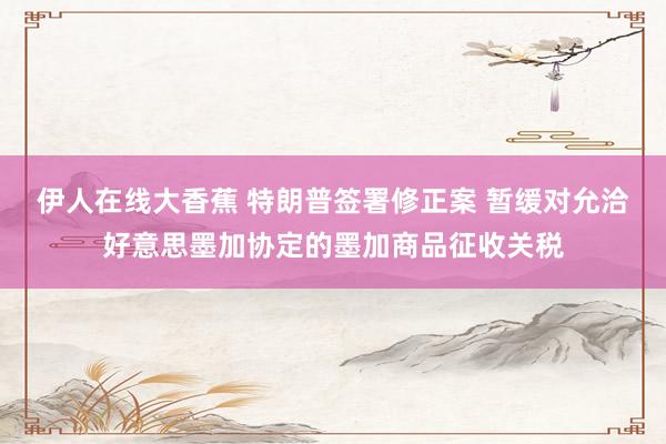 伊人在线大香蕉 特朗普签署修正案 暂缓对允洽好意思墨加协定的墨加商品征收关税